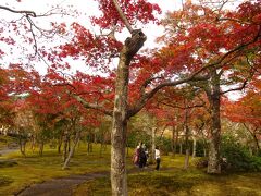 ここには初めて来ました。
箱根美術館です。
素敵なお庭と紅葉を拝みに…

