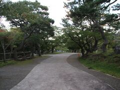 公園内は結構な高低差になっていて歩いていると足にそこそこ負担が来ます。明治時代に桜が植樹がされていて、この通りも桜並木になっていますが５月の桜の時期には花見の名所となるそうです。
函館では桜が咲くのは５月なんですよね。