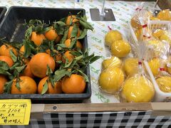 　ようやく直売所へ。ストレチアのお花132円、葉っぱ22円でしたが、キャリーとリュックと、斜めかけのショルダーの他に、別にして持っては帰れないと諦め、キャリーに入るものとして、カブツにしました。先月の失敗を生かしていると、自画自賛。