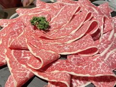 馬肉のしゃぶしゃぶ♪
生でも食べられるくらい鮮度の良い馬肉をしゃぶしゃぶしていただきます。
美味しいに決まってます！
コース4人分でこの量。すぐ無くなっちゃった！