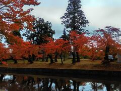 　致道博物館隣の鶴岡公園　紅葉した木々が美しい。