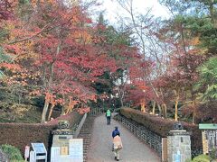 本日のメイン、松雲山荘にやってきました。うーん、わかってはいたけど、だいぶ葉っぱが落ちてしまっています。