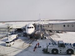 新千歳空港は雪。