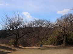 寒空の冬ゴルフ
日本の１２月下旬は寒かった。