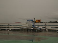 福岡空港に着陸。
福岡空港に停まっている飛行機の数や機材の大きさに、すぐにテンションは回復。
さすが国内有数の大空港。

ここでは、FDAは１番端のゲートにひっそりと滑り込む。