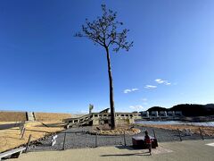 奇跡の一本松。

今はポツンと立ってて目立つけど、50年後には松原が復活して寂しい景色じゃなくなってるといいな。
