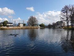 中郷温水地に来ました。