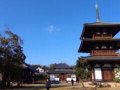 法隆寺が広大だったので、大きな寺をイメージしていたのですが、驚くべき小ささでした。田圃の中、駐車場もなくて困り、受付で聞いてみたら、拝観者が今殆どいないので、受付前の小道に停めて良いとのことで、なんとか拝観できました。
聖徳太子建立七寺のひとつ、世界遺産です。。
日本最古の三重塔（706年文武天皇の時代）と、奥に講堂（1694年）。右に木に隠れて聖天堂。
