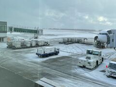 着陸直前にかなり揺れましたが、無事に函館空港に到着。
真ん中の座席で外が見られず、到着して一面の雪景色を見て感動。