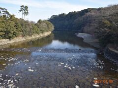 以前、五十鈴川には鯉がウヨウヨ泳いでいたんですが。