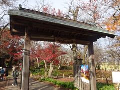 長岡市 もみじ園
https://koshiji-momijien.com/

庭園散策は無料です。