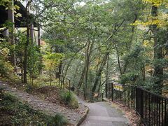 渓谷に入ってきました。