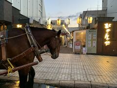 途中、北の屋台前でお馬さんの水飲みandトイレ休憩。