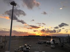 2021/12/31
珍しく夕方の便で旭川空港に向かいます。
羽田空港はそこそこの人出で、人気の洋菓子なんかは売り切れも目立ってましたね。冬らしく空気も澄んでいて美しい夕焼けが拝めました。
直前での発着場所の変更があり若干混乱し遅れが発生しましたが急ぐ旅ではないので問題なし。