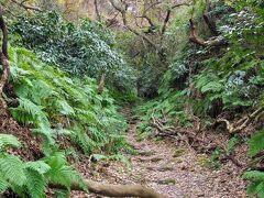 おや、結構な山道ですねえ。