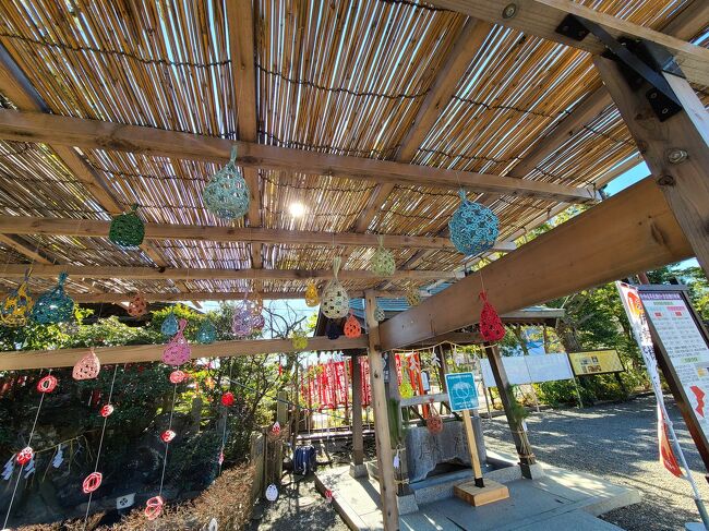 シニアトラベラー!八剱八幡神社と江戸前牡蠣・はかりめ満喫の旅 シニアトラベラー!八剱八幡神社と江戸前牡蠣・はかりめ満喫の旅