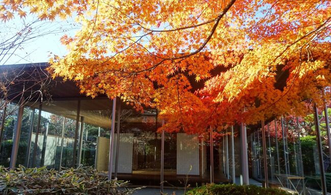 馬場花木園散歩 １２月の花 １６種 ２０２１年 鶴見 神奈川県 の旅行記 ブログ By Takeおじさん フォートラベル