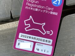 代々木公園の狙いはもちろんドッグラン。

ドッグランを使うには、最初に登録が必要（要：区市町村の畜犬登録（鑑札）と狂犬病予防注射済票）

両方とも持っていたので、無事登録完了。