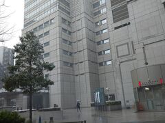 この日は都心部でも雪が積もるかもとの予想が出ていました。西新宿あたりで雪がちらつき始めました。

こちらは三連の三角屋根が有名な新宿パークタワーというビルです。