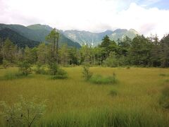 田代湿原は、草に覆われている時期でしたが・・・・