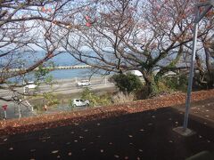喜多灘。
ホームの桜の木(かな？）越しに見える瀬戸内海が素敵。