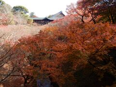 午前中一番に東福寺にお参りした後、南禅寺に向かいます。

写真は、東福寺境内にある「通天橋」の紅葉です。
