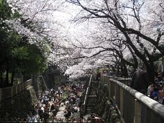 この風景　
コロナ禍前なので　
今見ると　ちょっとぞっとします