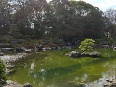 大濠公園日本庭園にも行ってみました。
