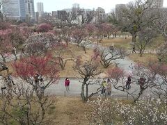 舞鶴公園 (福岡城跡)