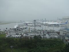 成田空港の駐機場にANAとJALの機体が見えます