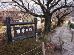 金閣寺からバスで京都市内を横断し反対方向の
銀閣寺周辺エリアへ移動してきました。
まずは歩いてすぐそこに、哲学の道
銀閣寺方面に向かって伸びていってます。
せっかくなので道路側ではなく、哲学の道上を歩いて進みます。