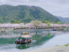 【錦川河畔】
桜の季節は遊覧船
鵜飼もやっているらしいので、
初夏には鵜飼船かもです