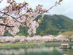 【錦川河畔】
まだ錦帯橋を渡る前、
奥の山の上に、ぼやかしていますが、
山の上にある岩国城の天守もながめながら