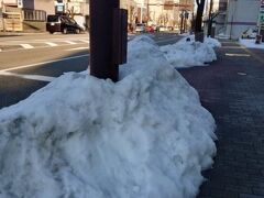 氷見で絶景を見て、高岡のホテルにチェックイン後
夕暮時に富山に行くにはちょっと早いので、高岡の街をブラブラ。

数日前に降った雪があちこちに避けられてました。