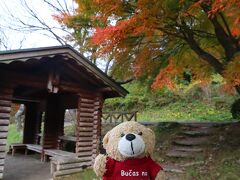 ここも紅葉が綺麗です。