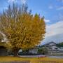 2021年 晩秋の大山で空から紅葉狩り【4K空撮映像付】