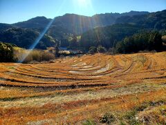 帰りに、大山千枚田に寄ってみました。