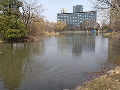 せっかくなので中島公園散歩。この公園、来るときはなぜかいつも複雑な心境のときなんだよね。人間関係とか、家族の病気とか、自分の将来とか。