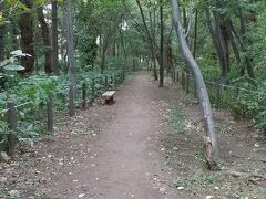 某日。地図で見て気になった屯田防風林。ちょっと北に行くと石狩湾。風も強いし冬は雪もひどい。