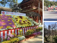 秋の菊花展が終了し、迎春準備が進められていました。

来年は寅年、良い年になる事を願います。

境内東側には、太宰府天満宮から約3万㎡の無償貸与を受けて建設された遊園地、だざいふ遊園地（西鉄・太宰府天満宮等の出資による㈱太宰府園の運営）がありました。