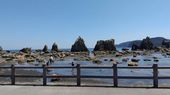 クジラに会いたい！太地町の夏2021！』那智勝浦・太地(和歌山県)の旅行