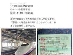 今朝起きるとJALからメールが。仙台空港から帰る予定でしたが、津波警報が出て仙台便は欠航になりました。JALに羽田便に変更してもらいました。東京までの新幹線の代金は出ませんが、おときゅうで良かった！！