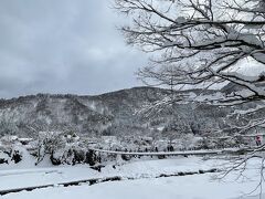 白川郷に到着！

吊り橋が真っ白、どこもかしこも真っ白です。


