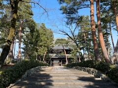 相国寺は敷地が本当に広くて、迷子になりそうなくらいでした。