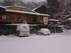 宮城蔵王キツネ村