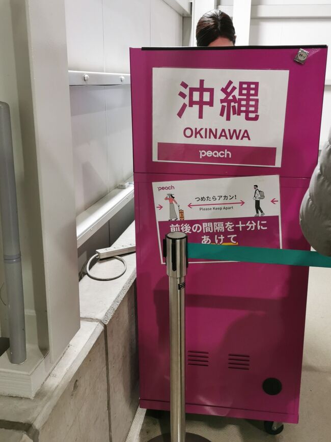 沖縄にピーチで日帰り 首里城とピーチのエアバスa321lr就航 那覇 沖縄県 の旅行記 ブログ By タテさん フォートラベル