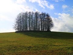 ４０年以上前になるが、マイルドセブンのｃｍに使われた丘と樹木
当時と比べると樹木の数が半分以下になっている。