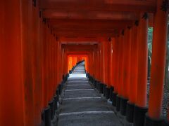 鳥居の重なりがきれいですね（*´▽｀*）