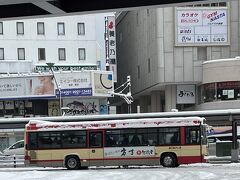 一度ホテルへ荷物を置いて、駅前のターミナルからびんずる号で善光寺へ。