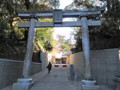 猿田神社（千葉県銚子市）

猿田彦大御神は、芸能の神様だとよく聞きますが、ここは由緒もある神社で、パワースポットとしても知られているようです。
坂の途中に鳥居があって、間口が狭いのが意外でした。

